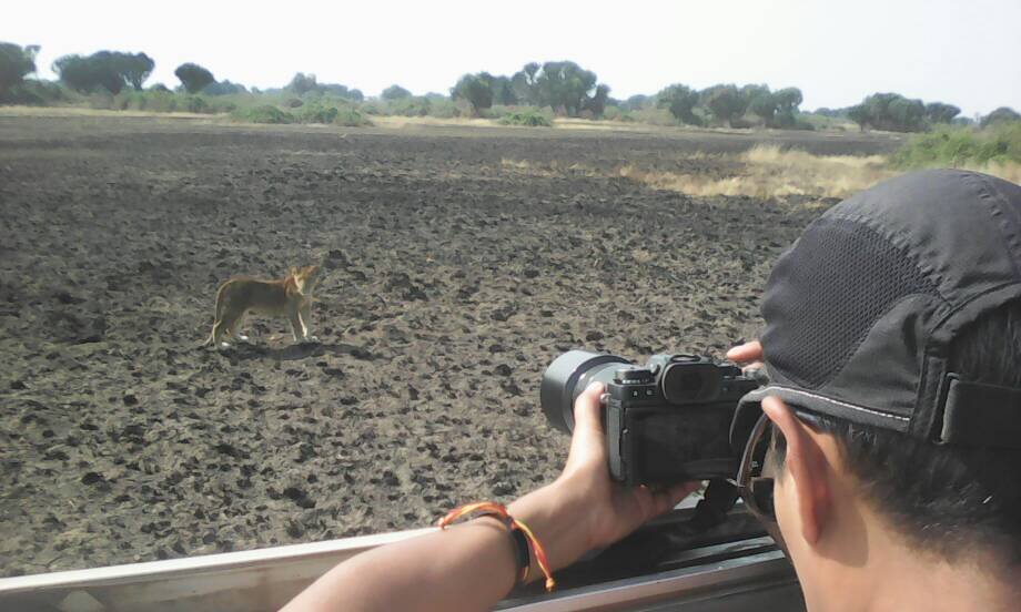Me taking photos of the lions in Queen Elizabeth National Park (cell phone pic) @2018 Amina Mohamed Photography
